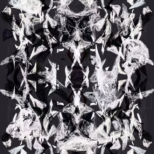 Orchids By Luke Shannon