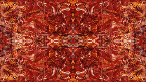 Item #21000088 Media