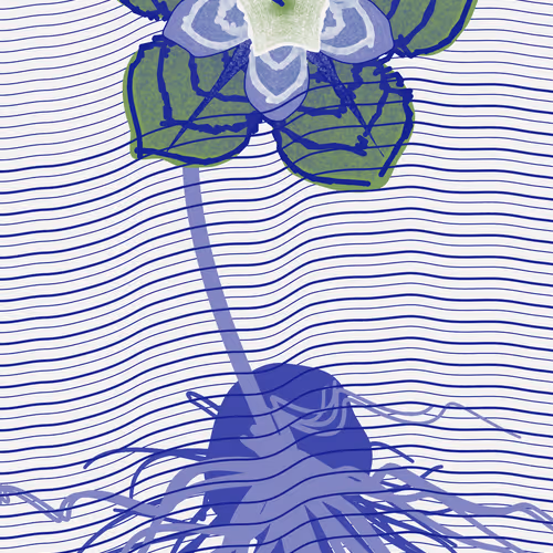 Underwater #6