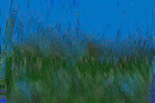 Item #70000005 Media