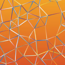 Network C #38