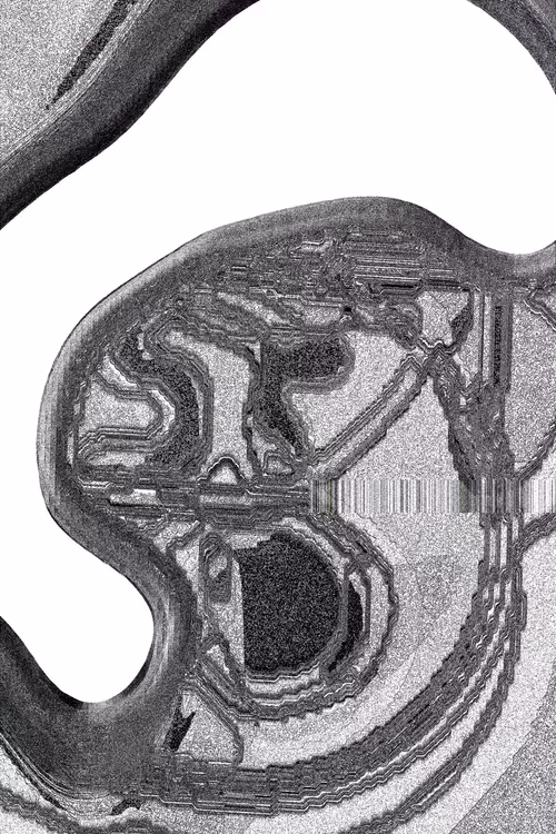 Item #49000017 Media