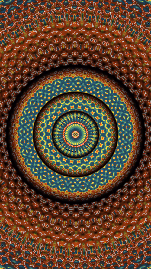 Item #38000024 Media