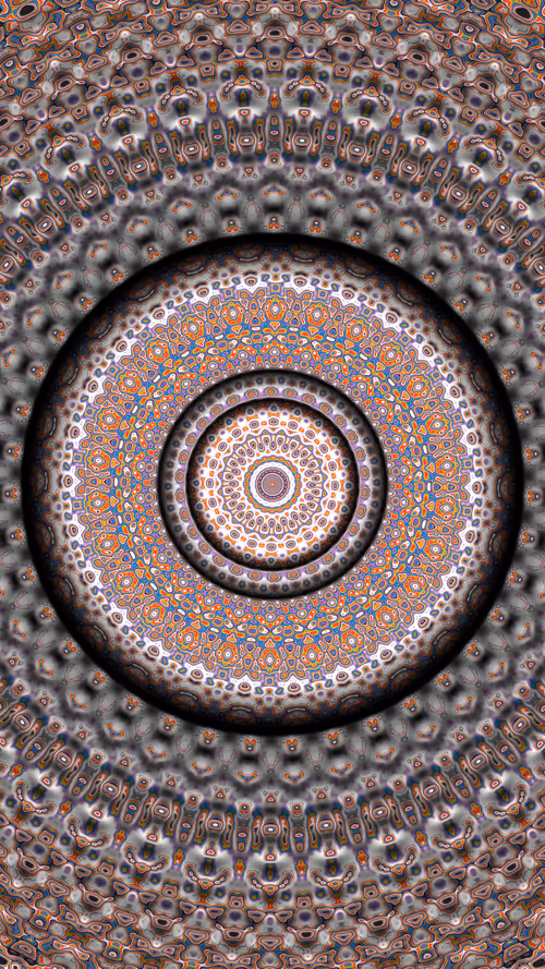 Item #38000098 Media