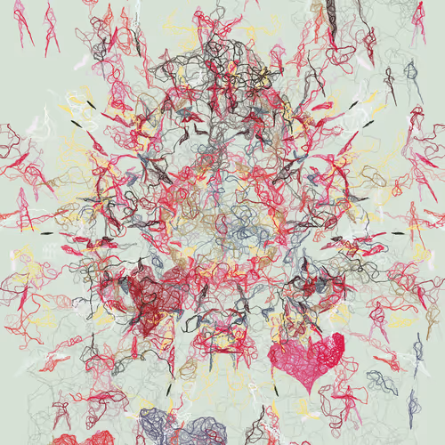 Orchids By Luke Shannon