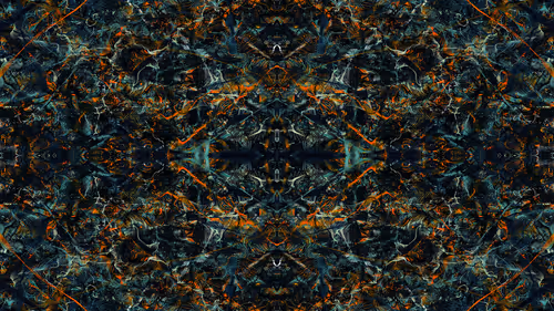 Item #21000048 Media