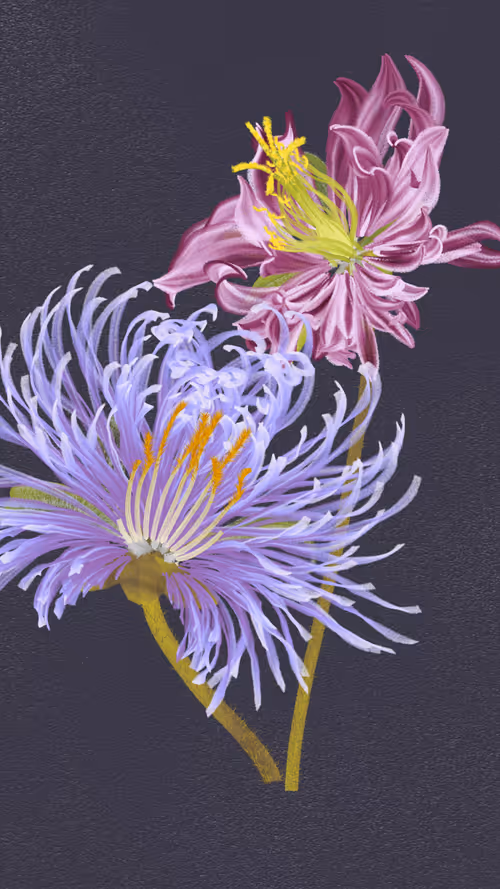 Item #66000073 Media