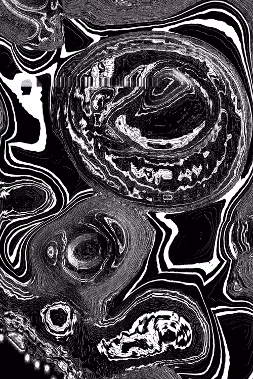 Item #49000013 Media