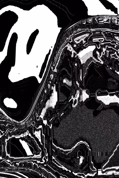 Item #49000061 Media