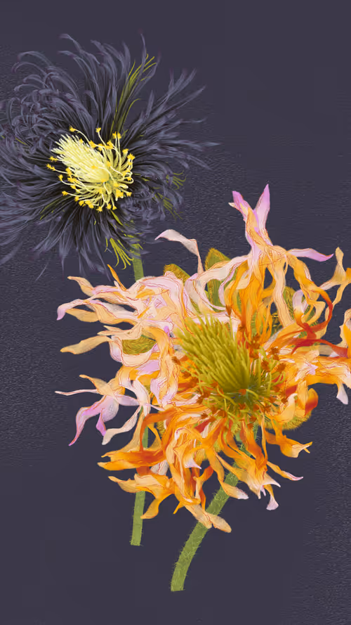 Item #66000025 Media