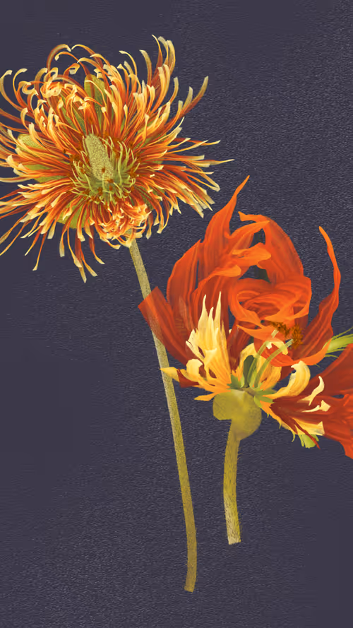 Item #66000065 Media