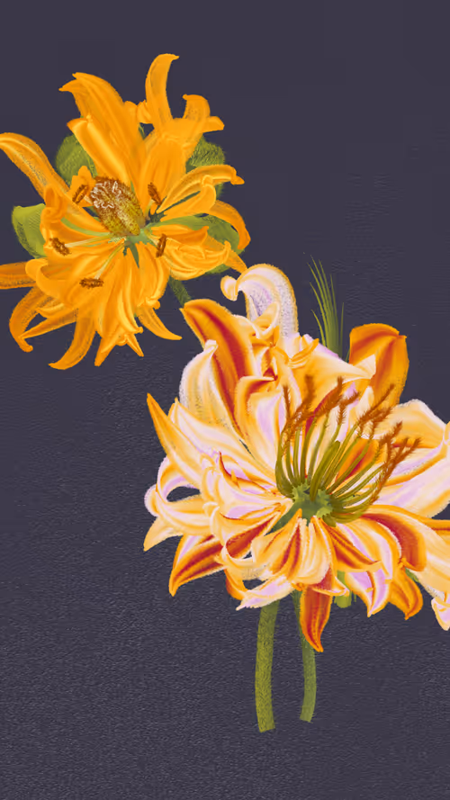 Item #66000059 Media