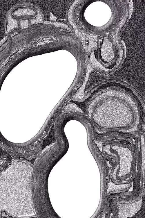 Item #49000030 Media