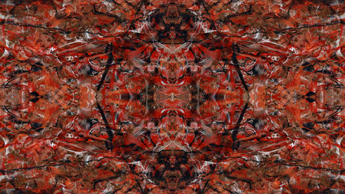 Item #21000076 Media