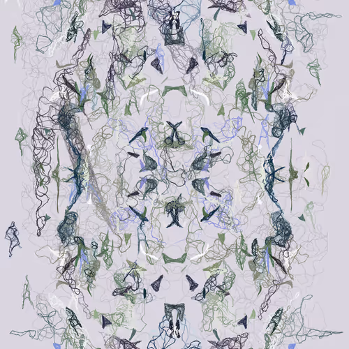 Orchids By Luke Shannon