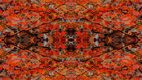 Item #21000078 Media