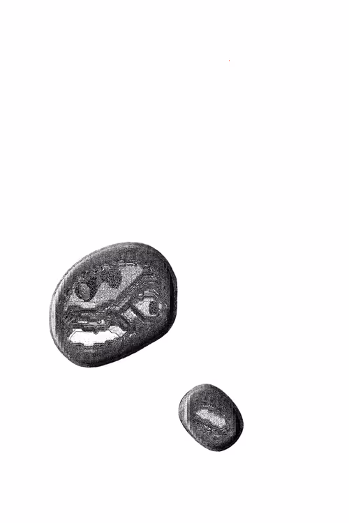 Item #49000049 Media