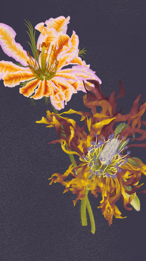 Item #66000033 Media