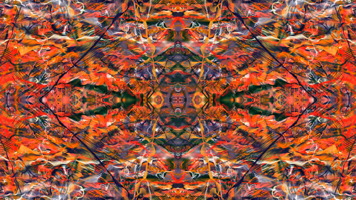 Item #21000040 Media