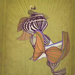 Velum #53