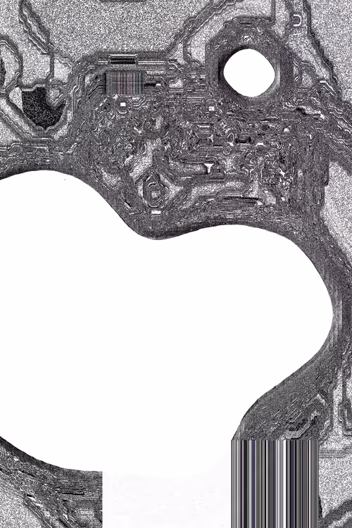 Item #49000033 Media