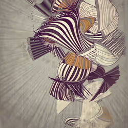 Velum #73