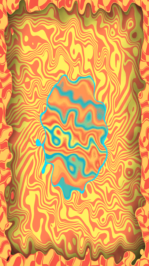 Item #17000241 Media