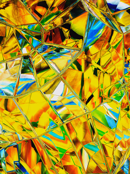 Item #58000096 Media