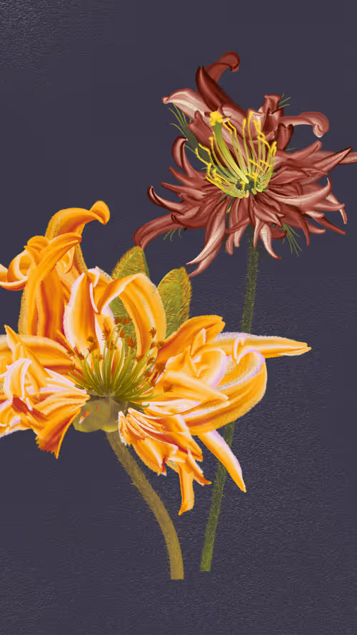 Item #66000016 Media