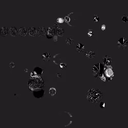 Event Horizon #33