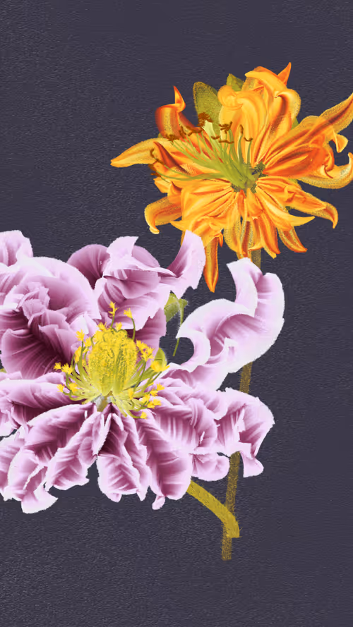 Item #66000000 Media