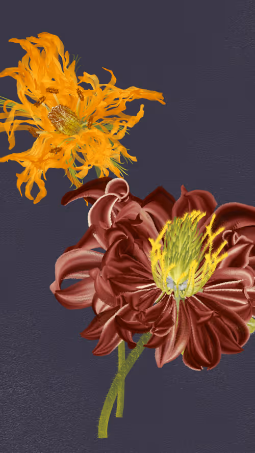 Item #66000044 Media