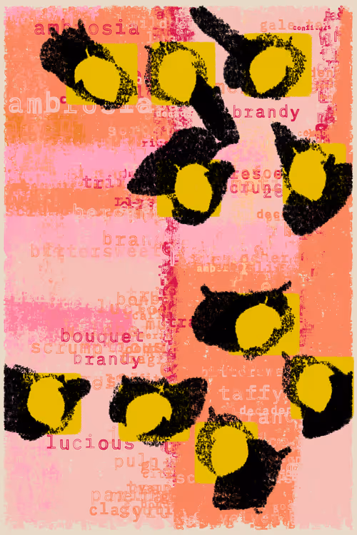 Item #79000054 Media