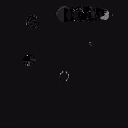 Event Horizon By Kim Asendorf