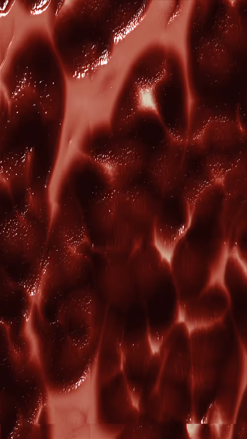 Item #67000008 Media