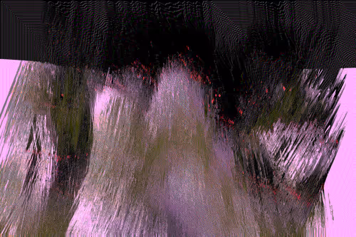 Item #70000002 Media