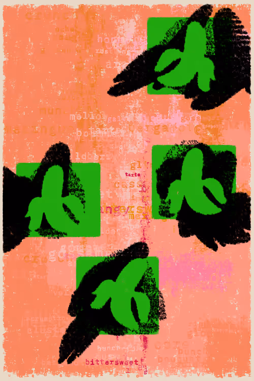 Item #79000085 Media