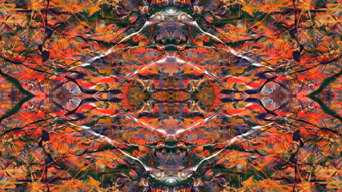 Item #21000089 Media