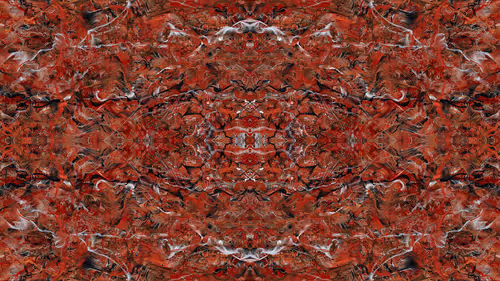 Item #21000052 Media