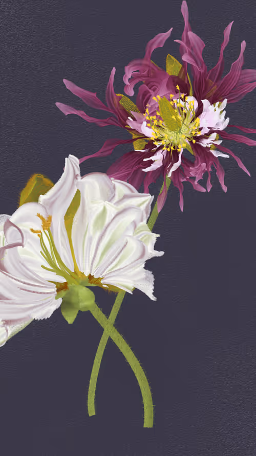 Item #66000060 Media