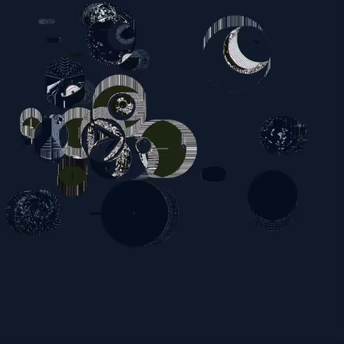 Item #44000058 Media