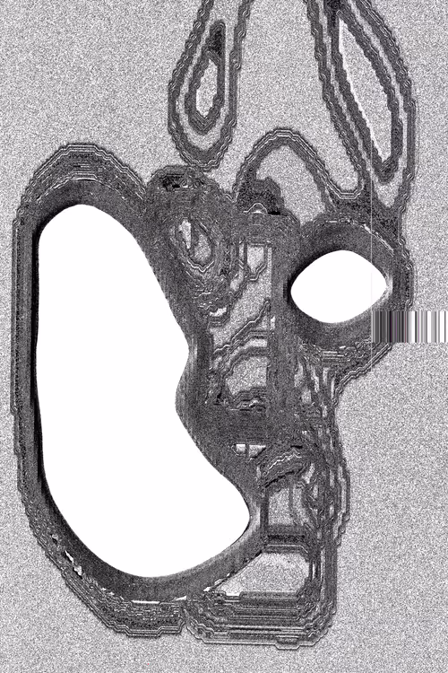 Item #49000044 Media