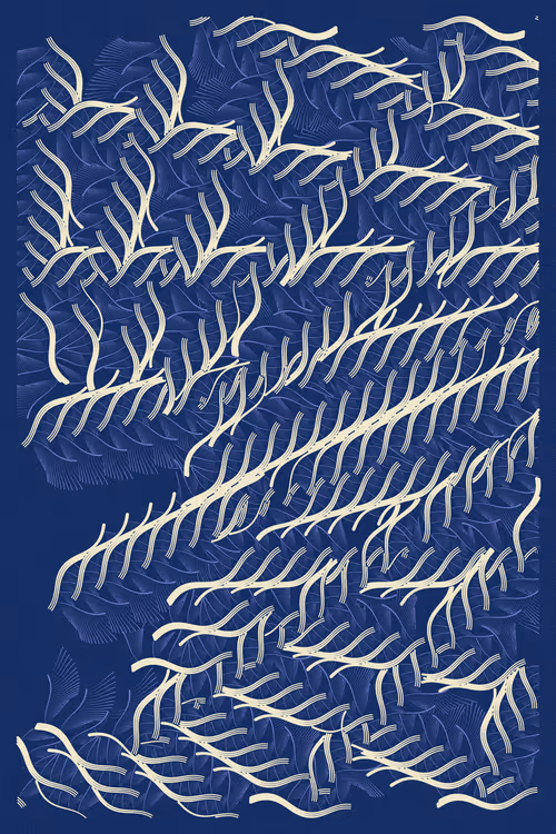 Item #37000064 Media