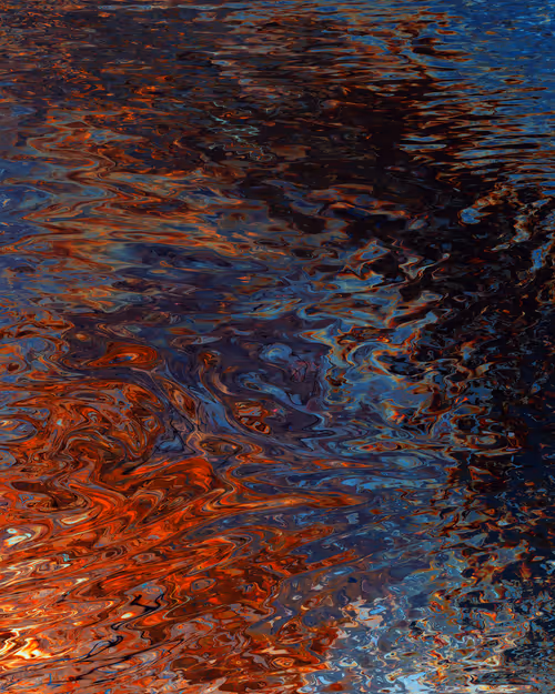 Item #29000074 Media