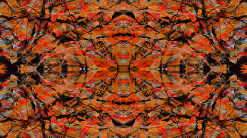 Item #21000021 Media