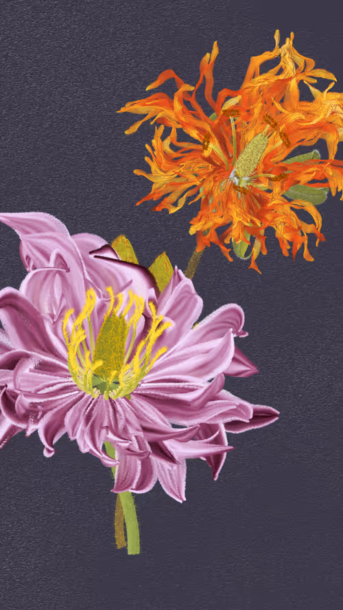 Item #66000019 Media