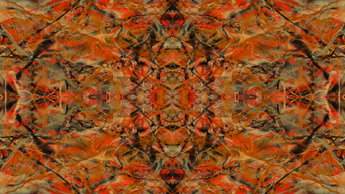 Item #21000047 Media