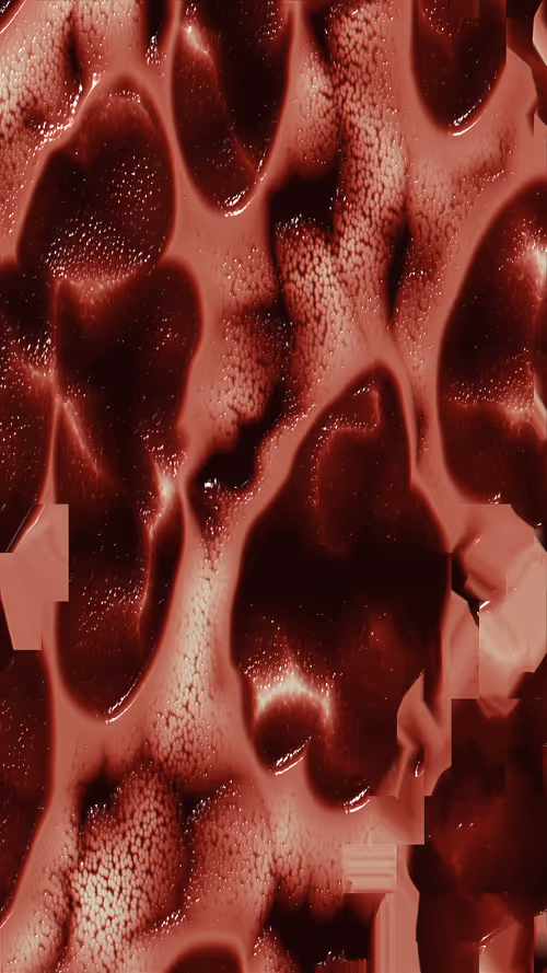 Item #67000069 Media