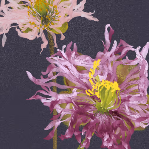 Delirium Blooms By Leonardo Solaas