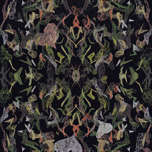 Orchids By Luke Shannon